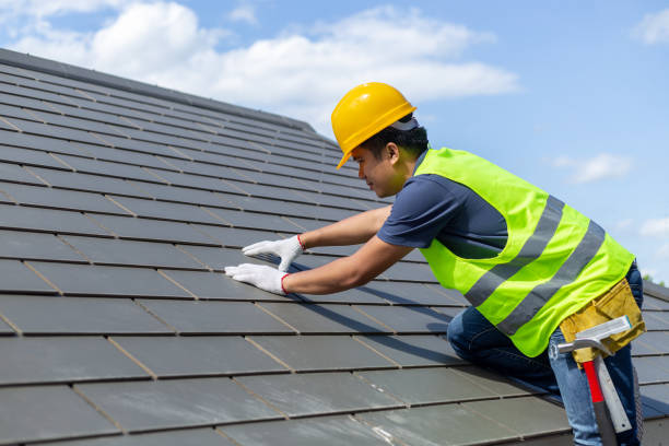 Best Roof Replacement Cost  in Mapleton, ND