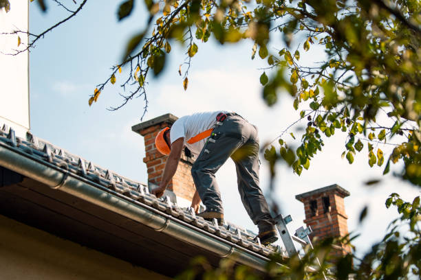Best Gutter Installation and Roofing  in Mapleton, ND