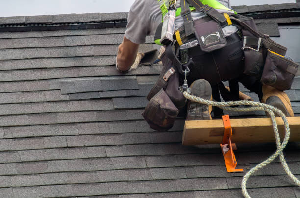 Best Storm Damage Roof Repair  in Mapleton, ND
