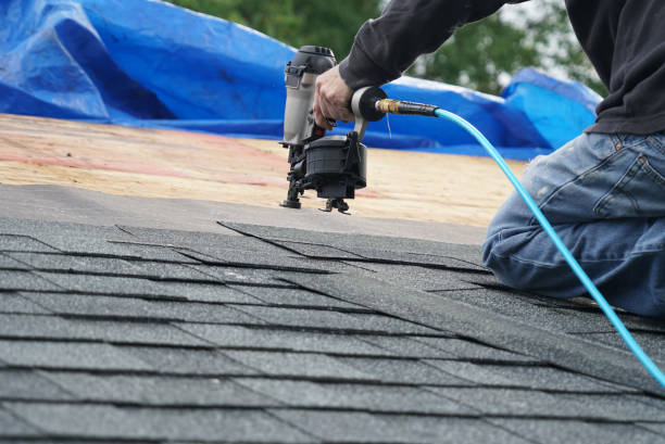 Best Roof Maintenance Services  in Mapleton, ND