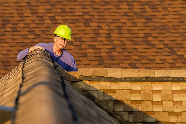 Best Roof Restoration Services  in Mapleton, ND