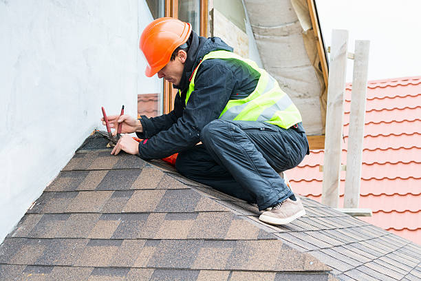 Best Storm Damage Roof Repair  in Mapleton, ND