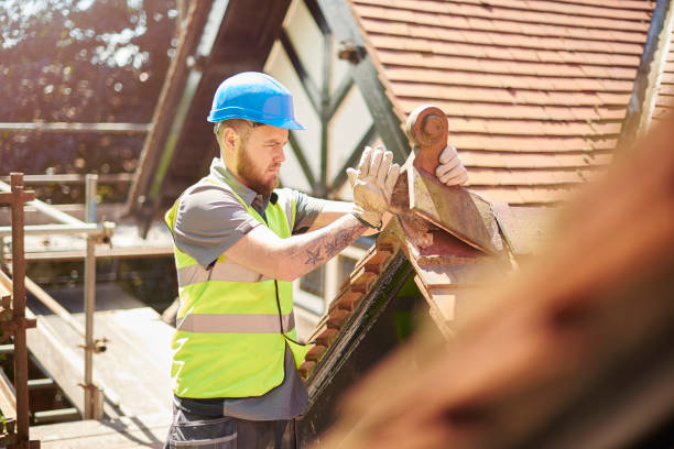 Best Local Roofing Companies  in Mapleton, ND