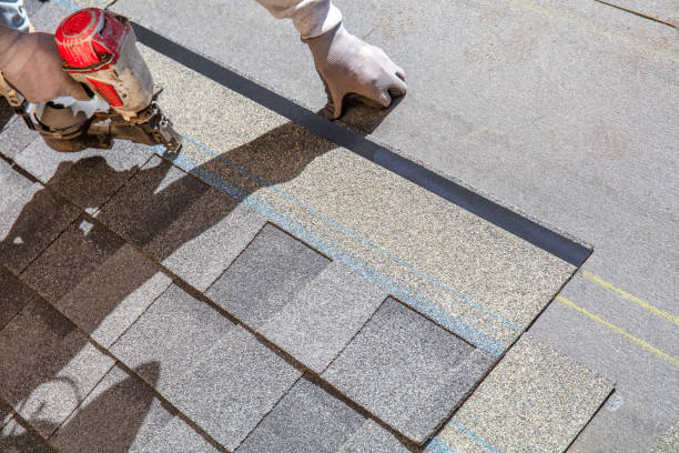 Best Roof Gutter Cleaning  in Mapleton, ND